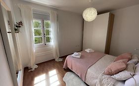 Beautiful 3 Bd. Apartment in La Laguna City Centre